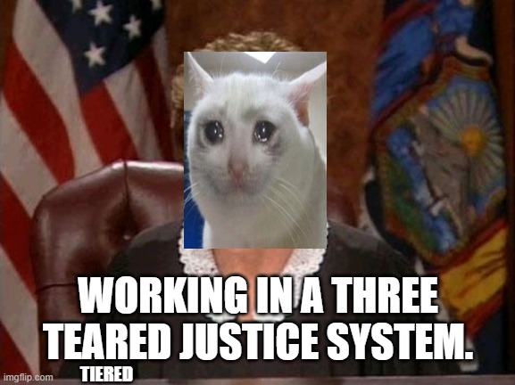 Judge Judy | TIERED WORKING IN A THREE TEARED JUSTICE SYSTEM. | image tagged in judge judy | made w/ Imgflip meme maker