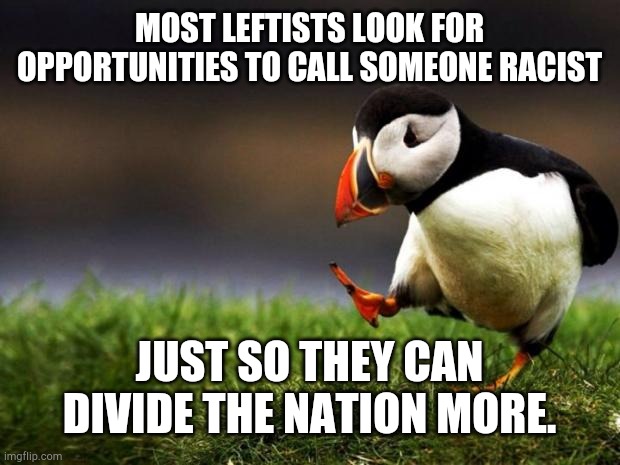 If they saw people as people instead of a number or colors, the country would be a lot more unified. | MOST LEFTISTS LOOK FOR OPPORTUNITIES TO CALL SOMEONE RACIST; JUST SO THEY CAN DIVIDE THE NATION MORE. | image tagged in memes,unpopular opinion puffin,racist,politics,liberals,leftists | made w/ Imgflip meme maker
