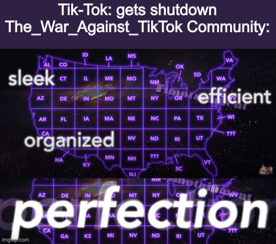 It true tho !!!!!!!!!!!!!!!!!!! WE R DA BEST! | Tik-Tok: gets shutdown
The_War_Against_TikTok Community: | image tagged in sleek efficient organized perfection | made w/ Imgflip meme maker