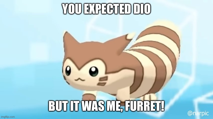 Furret Walcc | YOU EXPECTED DIO BUT IT WAS ME, FURRET! | image tagged in furret walcc | made w/ Imgflip meme maker