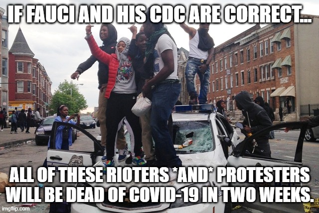 Because Experts Are Always Right | IF FAUCI AND HIS CDC ARE CORRECT... ALL OF THESE RIOTERS *AND* PROTESTERS WILL BE DEAD OF COVID-19 IN TWO WEEKS. | image tagged in riot,covid-19,no social distancing | made w/ Imgflip meme maker