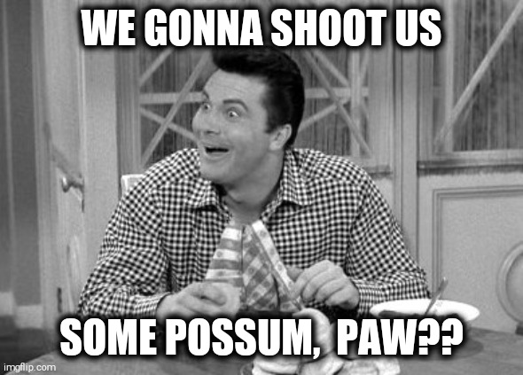 jethro | WE GONNA SHOOT US SOME POSSUM,  PAW?? | image tagged in jethro | made w/ Imgflip meme maker