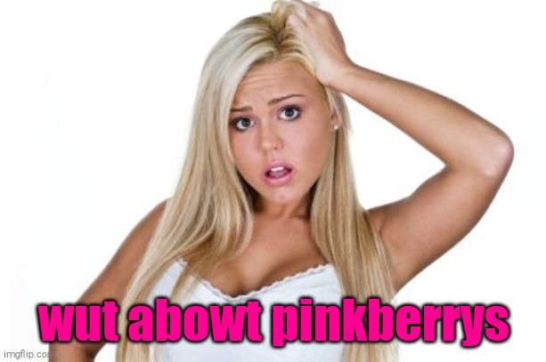 Dumb Blonde | wut abowt pinkberrys | image tagged in dumb blonde | made w/ Imgflip meme maker