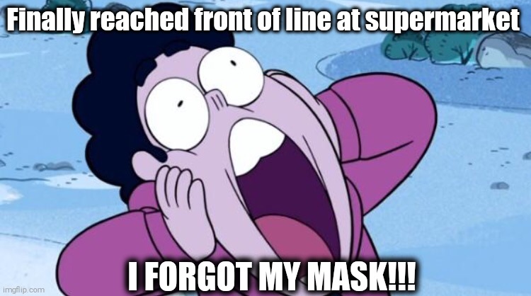 SON OF A BEE!!!! | Finally reached front of line at supermarket; I FORGOT MY MASK!!! | image tagged in steven universe nooo | made w/ Imgflip meme maker