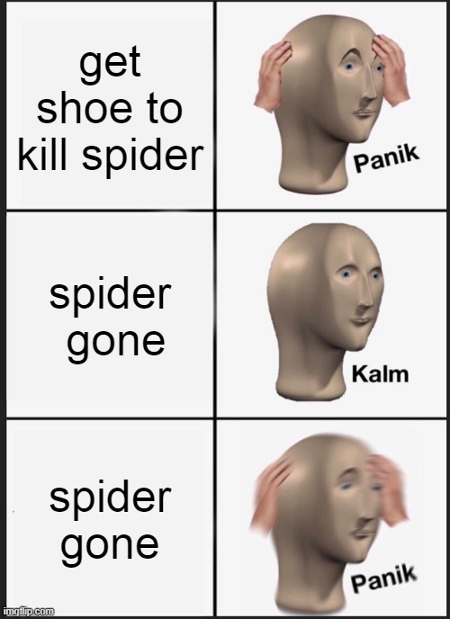 spoooder gone | get shoe to kill spider; spider  gone; spider gone | image tagged in memes,panik kalm panik | made w/ Imgflip meme maker