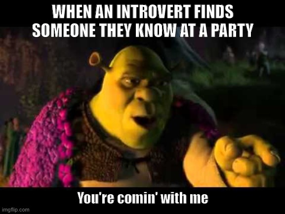 Introverts | WHEN AN INTROVERT FINDS SOMEONE THEY KNOW AT A PARTY; You're comin' with me | image tagged in you're comin' with me | made w/ Imgflip meme maker