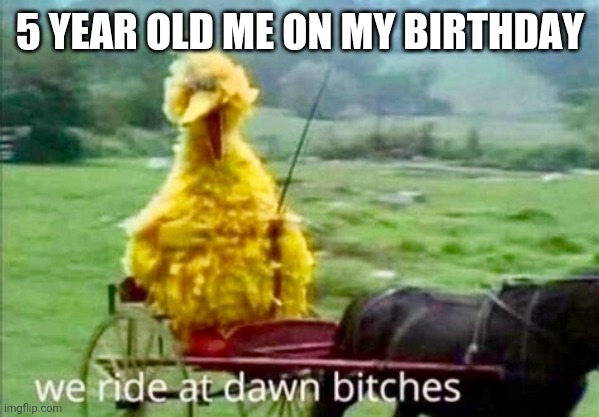 Big Bird | 5 YEAR OLD ME ON MY BIRTHDAY | image tagged in big bird | made w/ Imgflip meme maker