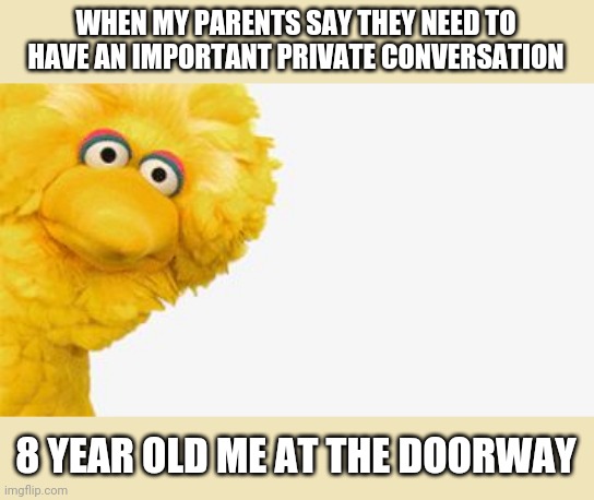 big bird | WHEN MY PARENTS SAY THEY NEED TO HAVE AN IMPORTANT PRIVATE CONVERSATION; 8 YEAR OLD ME AT THE DOORWAY | image tagged in big bird | made w/ Imgflip meme maker