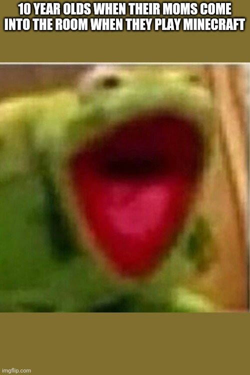 AHHHHHHHHHHHHH | 10 YEAR OLDS WHEN THEIR MOMS COME INTO THE ROOM WHEN THEY PLAY MINECRAFT | image tagged in ahhhhhhhhhhhhh | made w/ Imgflip meme maker
