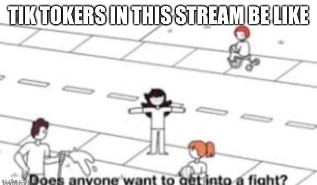 true | TIK TOKERS IN THIS STREAM BE LIKE | image tagged in does anyone want to get into a fight | made w/ Imgflip meme maker