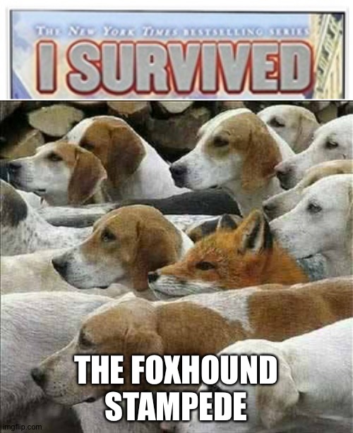 THE FOXHOUND STAMPEDE | image tagged in fox and foxhounds,i survived | made w/ Imgflip meme maker
