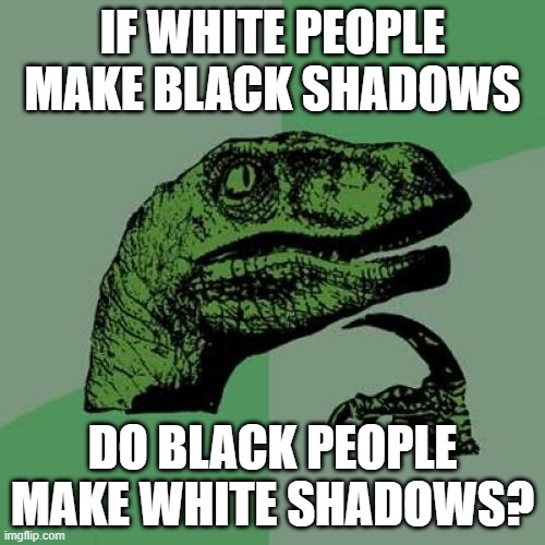 Philosoraptor | IF WHITE PEOPLE MAKE BLACK SHADOWS; DO BLACK PEOPLE MAKE WHITE SHADOWS? | image tagged in memes,philosoraptor | made w/ Imgflip meme maker