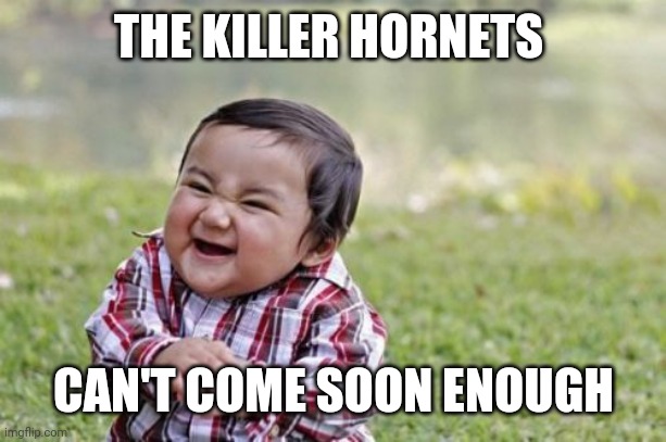 Evil Toddler Meme | THE KILLER HORNETS; CAN'T COME SOON ENOUGH | image tagged in memes,evil toddler | made w/ Imgflip meme maker