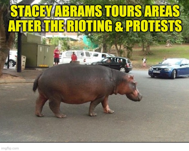 Stacey Abrams | STACEY ABRAMS TOURS AREAS AFTER THE RIOTING & PROTESTS | image tagged in stacey abrams | made w/ Imgflip meme maker