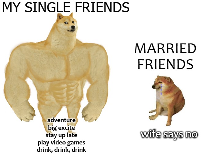Big dog small dog | MY SINGLE FRIENDS; MARRIED FRIENDS; adventure
big excite
stay up late
play video games
drink, drink, drink; wife says no | image tagged in big dog small dog | made w/ Imgflip meme maker