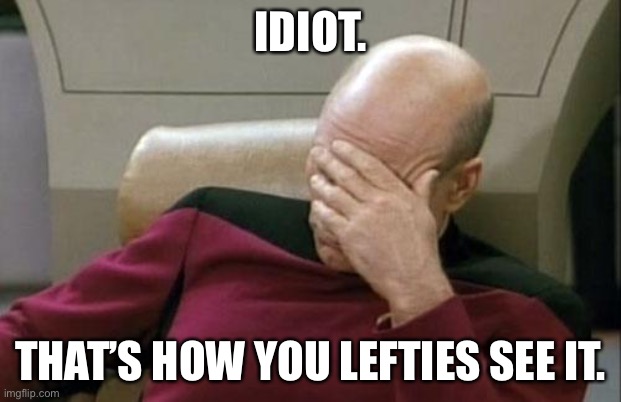 Captain Picard Facepalm Meme | IDIOT. THAT’S HOW YOU LEFTIES SEE IT. | image tagged in memes,captain picard facepalm | made w/ Imgflip meme maker