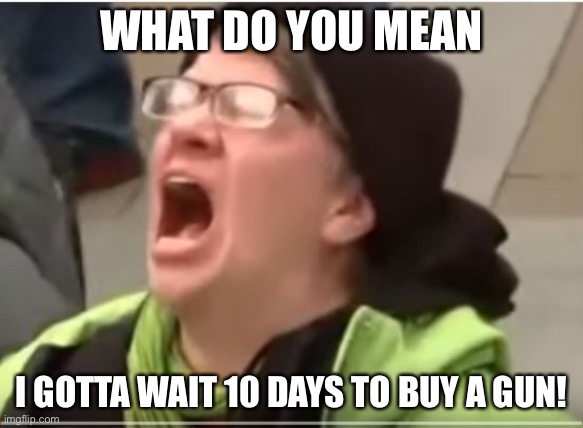 Meanwhile, in Blue State USA... | WHAT DO YOU MEAN; I GOTTA WAIT 10 DAYS TO BUY A GUN! | image tagged in libtards,gun control,riots | made w/ Imgflip meme maker