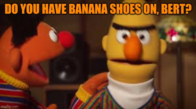 Bert and Ernie  | DO YOU HAVE BANANA SHOES ON, BERT? | image tagged in bert and ernie | made w/ Imgflip meme maker