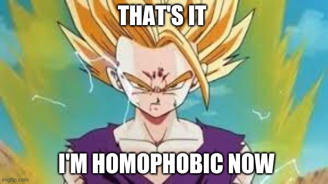 homophobic gohan | THAT'S IT; I'M HOMOPHOBIC NOW | image tagged in dragon ball z | made w/ Imgflip meme maker