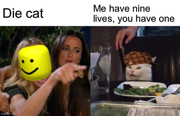 Woman Yelling At Cat | Die cat; Me have nine lives, you have one | image tagged in memes,woman yelling at cat | made w/ Imgflip meme maker