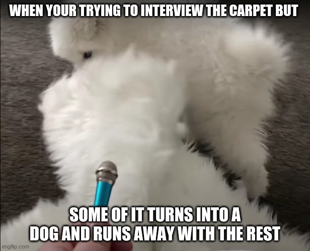 "relatable" | WHEN YOUR TRYING TO INTERVIEW THE CARPET BUT; SOME OF IT TURNS INTO A DOG AND RUNS AWAY WITH THE REST | image tagged in dog,interview,relatable | made w/ Imgflip meme maker