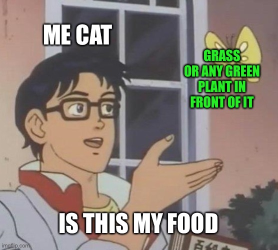 Is This A Pigeon | ME CAT; GRASS OR ANY GREEN PLANT IN FRONT OF IT; IS THIS MY FOOD | image tagged in memes,is this a pigeon | made w/ Imgflip meme maker