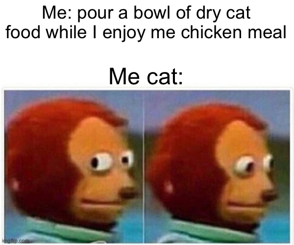 Monkey Puppet Meme | Me: pour a bowl of dry cat food while I enjoy me chicken meal; Me cat: | image tagged in memes,monkey puppet | made w/ Imgflip meme maker