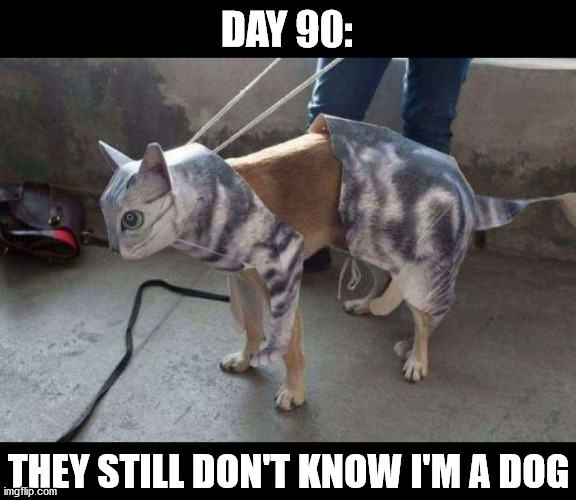 DAY 90:; THEY STILL DON'T KNOW I'M A DOG | made w/ Imgflip meme maker