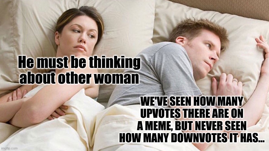 downvotes and upvotes | He must be thinking about other woman; WE'VE SEEN HOW MANY UPVOTES THERE ARE ON A MEME, BUT NEVER SEEN HOW MANY DOWNVOTES IT HAS... | image tagged in couple in bed | made w/ Imgflip meme maker