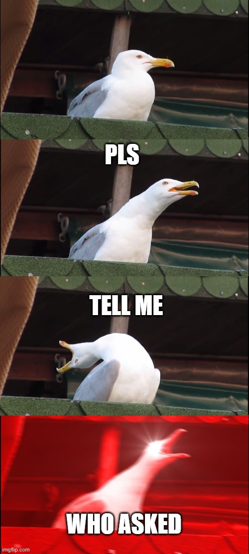 PLS TELL ME WHO ASKED | image tagged in memes,inhaling seagull | made w/ Imgflip meme maker