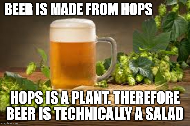 Beer Is A Salad | BEER IS MADE FROM HOPS; HOPS IS A PLANT. THEREFORE BEER IS TECHNICALLY A SALAD | image tagged in beer,salad,funny memes | made w/ Imgflip meme maker
