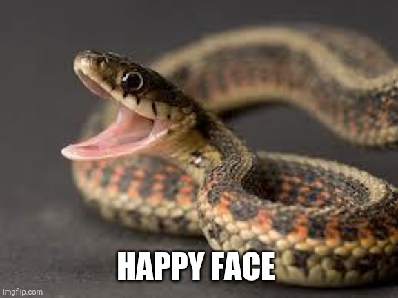 Warning Snake | HAPPY FACE | image tagged in warning snake | made w/ Imgflip meme maker