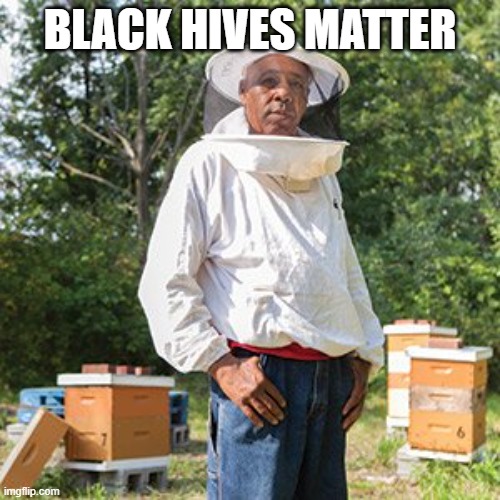 Black Hives Matter | BLACK HIVES MATTER | image tagged in black lives matter,blm,bees,hives,honey | made w/ Imgflip meme maker