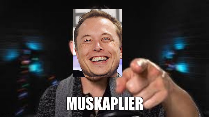 I'm sorry | MUSKAPLIER | image tagged in markiplier pointing | made w/ Imgflip meme maker