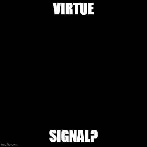 BLM Virtue Signal | VIRTUE; SIGNAL? | image tagged in black square | made w/ Imgflip meme maker
