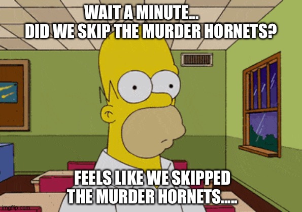 Murder Hornet Meme Jumanji