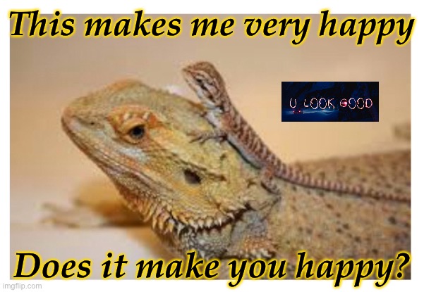 HaPpY LiZaRd | This makes me very happy; Does it make you happy? | image tagged in lizard,memes,funny,cute,cuteness | made w/ Imgflip meme maker