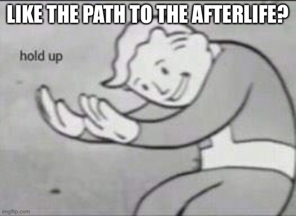 Fallout Hold Up | LIKE THE PATH TO THE AFTERLIFE? | image tagged in fallout hold up | made w/ Imgflip meme maker