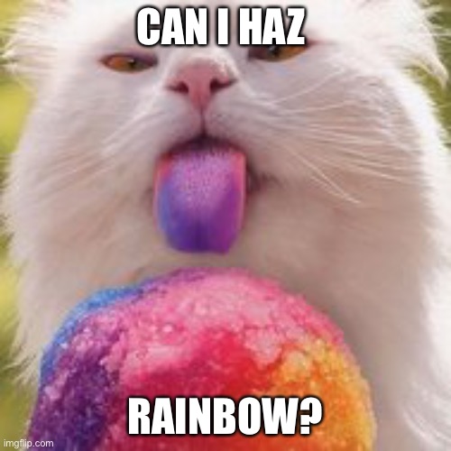 Meow! | CAN I HAZ; RAINBOW? | image tagged in cats,rainbow | made w/ Imgflip meme maker