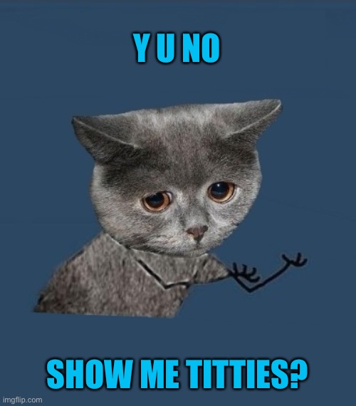 Y u no sad cat | Y U NO SHOW ME TITTIES? | image tagged in y u no sad cat | made w/ Imgflip meme maker