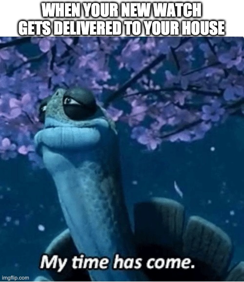 Watch | WHEN YOUR NEW WATCH GETS DELIVERED TO YOUR HOUSE | image tagged in my time has come,watch,memes,funny,kung fu turtle man,frontpage | made w/ Imgflip meme maker