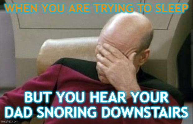 Captain Picard Facepalm | WHEN YOU ARE TRYING TO SLEEP; BUT YOU HEAR YOUR DAD SNORING DOWNSTAIRS | image tagged in memes,captain picard facepalm | made w/ Imgflip meme maker