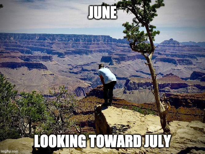 June Looking Toward July | JUNE; LOOKING TOWARD JULY | image tagged in memes | made w/ Imgflip meme maker