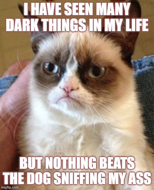 Grumpy Cat | I HAVE SEEN MANY DARK THINGS IN MY LIFE; BUT NOTHING BEATS THE DOG SNIFFING MY ASS | image tagged in memes,grumpy cat | made w/ Imgflip meme maker