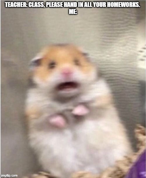 Scared Hamster | TEACHER: CLASS, PLEASE HAND IN ALL YOUR HOMEWORKS. 
ME: | image tagged in scared hamster | made w/ Imgflip meme maker