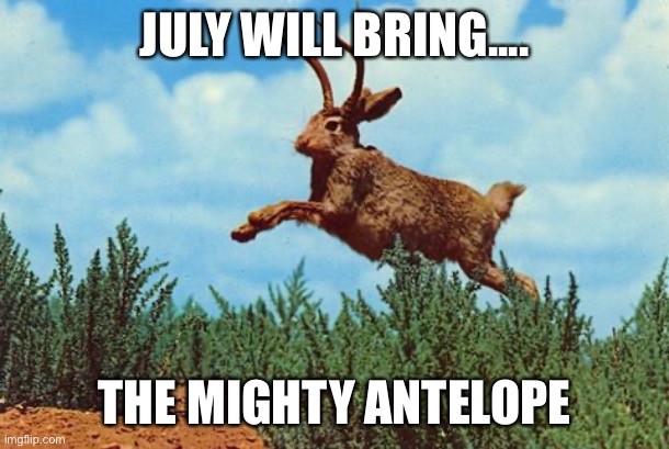 July | JULY WILL BRING.... THE MIGHTY ANTELOPE | image tagged in antelope | made w/ Imgflip meme maker