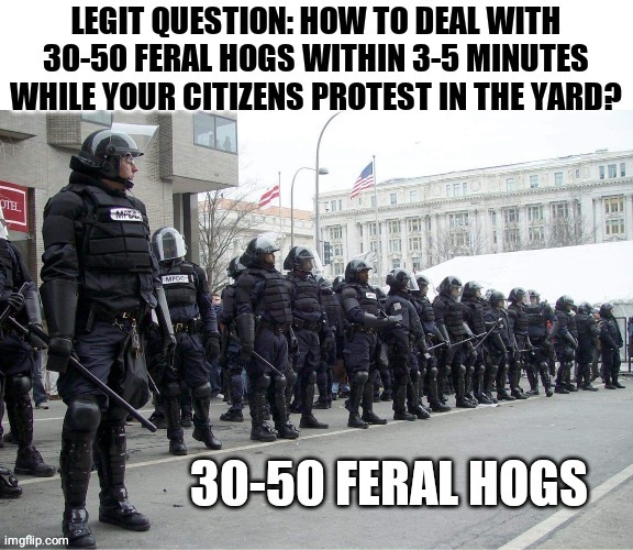 30-50 feral hogs | image tagged in police brutality,police,cops,protesters,protest,george floyd | made w/ Imgflip meme maker