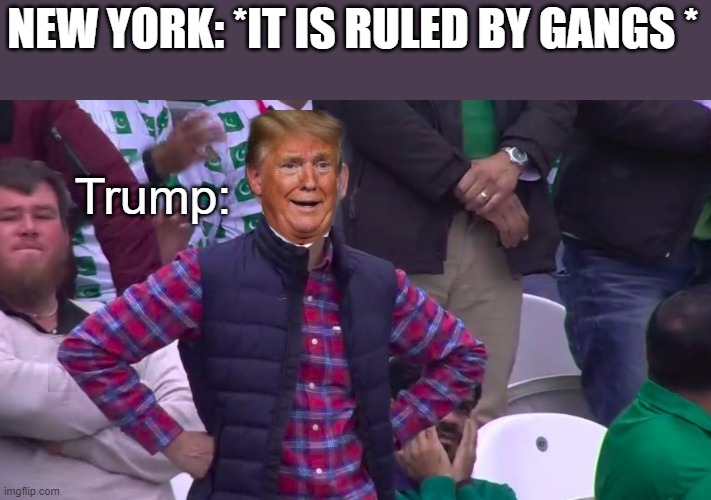 Donald is disappointed | NEW YORK: *IT IS RULED BY GANGS *; Trump: | image tagged in disappointed pakistani,donald trump | made w/ Imgflip meme maker