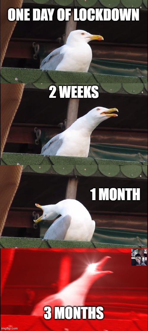 Inhaling Seagull Meme | ONE DAY OF LOCKDOWN; 2 WEEKS; 1 MONTH; 3 MONTHS | image tagged in memes,inhaling seagull | made w/ Imgflip meme maker