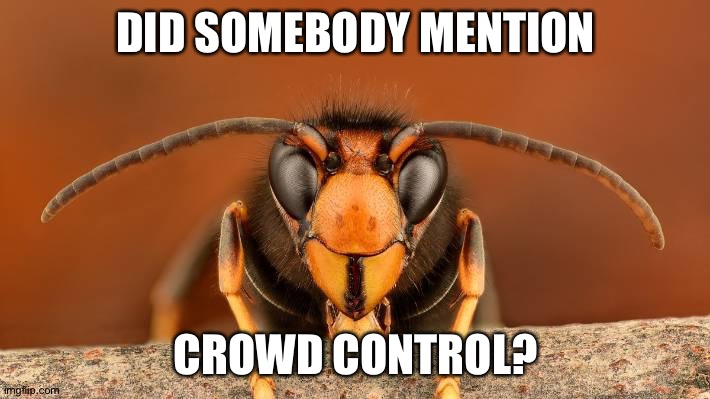 Murder Hornet | DID SOMEBODY MENTION; CROWD CONTROL? | image tagged in murder hornet | made w/ Imgflip meme maker